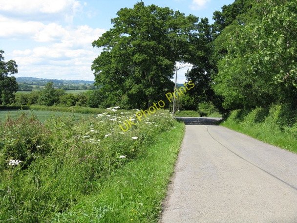 Photo 6"x4" Approaching the Main Road Green Lane\/SO6245 c2009