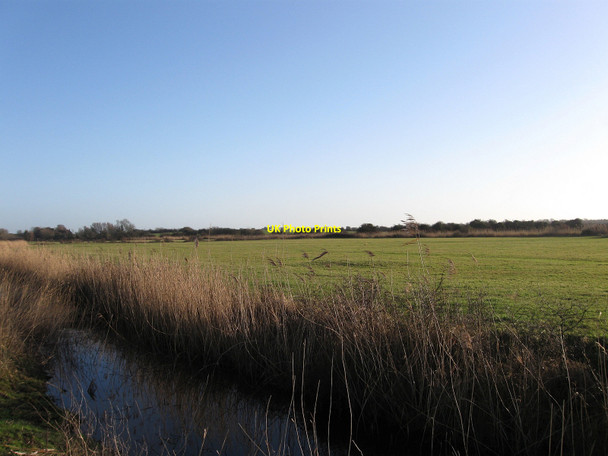 Photo 6"x4" Pond Marsh Rickney c2010
