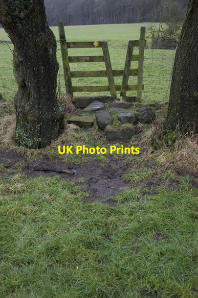 Photo 6"x4" Stile on footpath near Helbeck Wood Cabus c2010