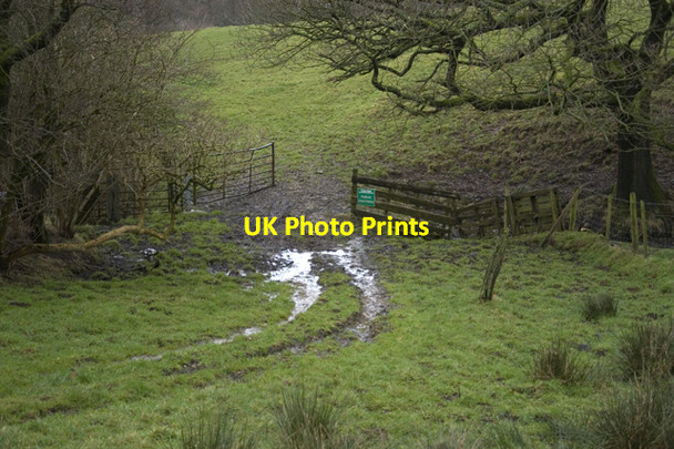 Photo 6"x4" Footpath to Burns Farm Calder Vale c2010