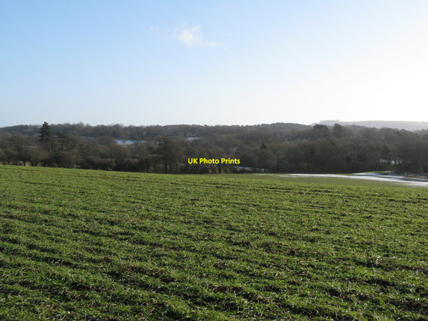 Photo 6"x4" View SE over open field Smock Alley c2010