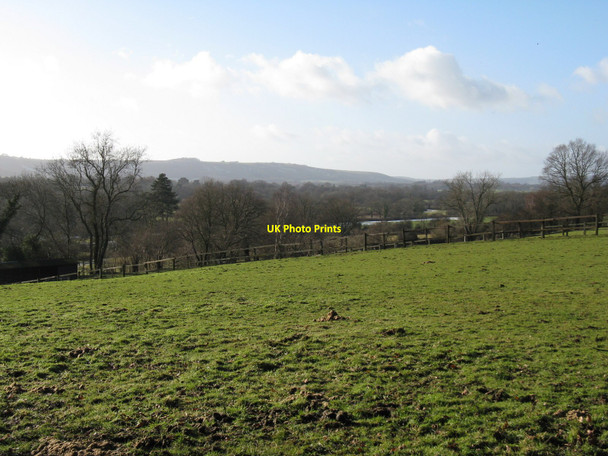 Photo 6"x4" View SW from hillside footpath south of Abingworth Smock Alley c2010