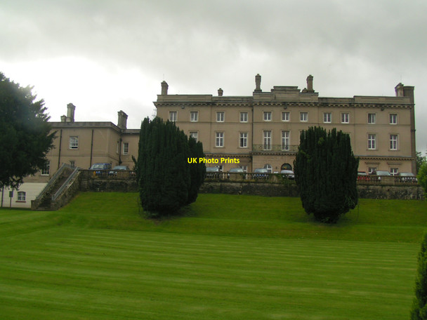Photo 6"x4" Llanarth Court Great Oak c2008