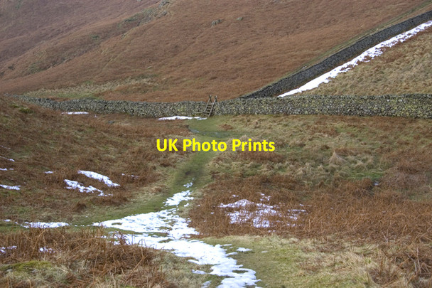 Photo 6"x4" Footpath on High Rigg Dale Bottom\/NY2921 c2010
