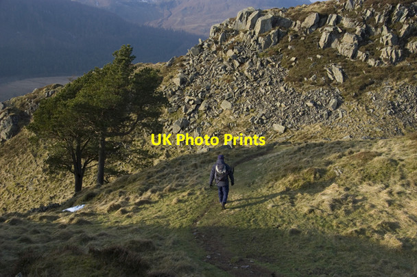 Photo 6"x4" Footpath on High Rigg Legburthwaite c2010