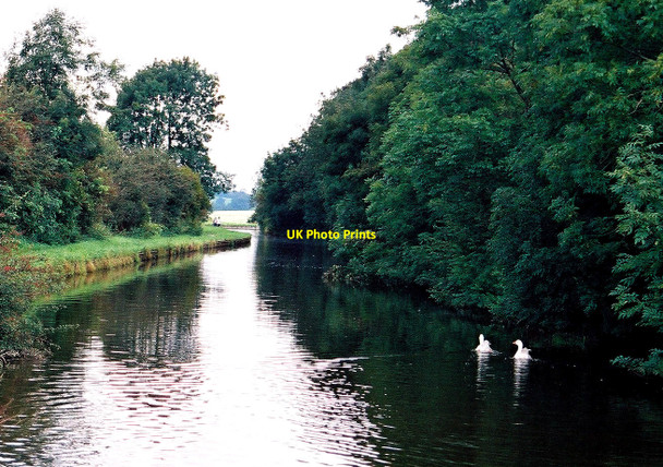Photo 6"x4" Leeds and Liverpool Canal, Barnoldswick Barnoldswick\/SD8746 c2002
