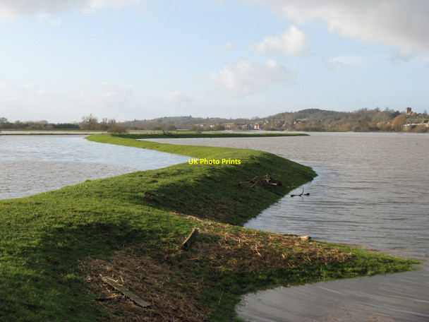 Photo 6"x4" Levee on the north side of the River Stor Pulborough c2010