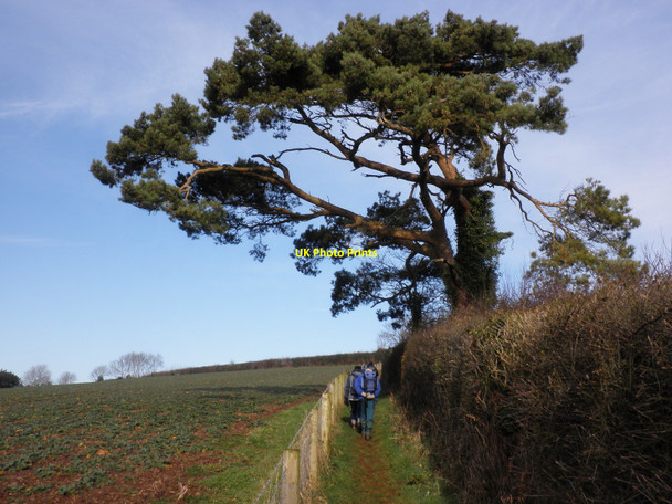 Photo 6"x4" Footpath, above Livingshayes Livingshayes c2010