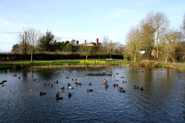 Photo 6"x4" The Village Pond, Milton Bryan Milton Bryan c2008