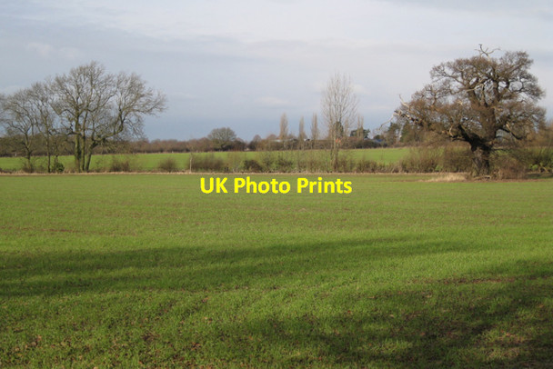 Photo 6"x4" Attenuated hedgerow on a parish boundary Cubbington c2010