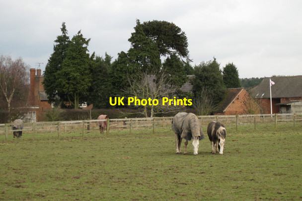 Photo 6"x4" Paddocks, Furzen Hill Farm Stareton c2010