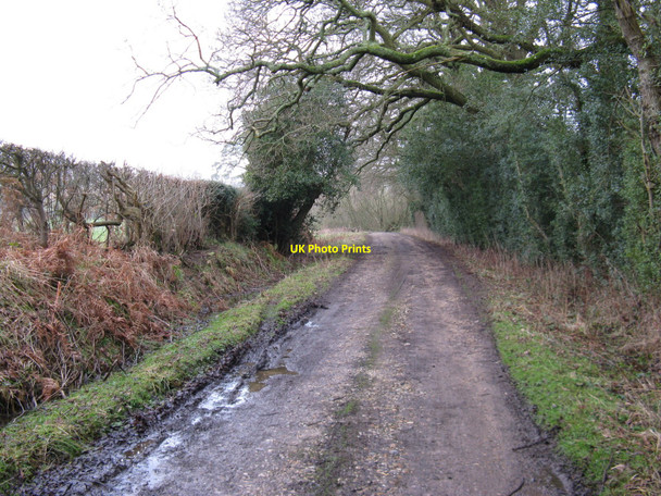 Photo 6"x4" Footpath and farm track to Potlane Farm Fisherstreet c2010
