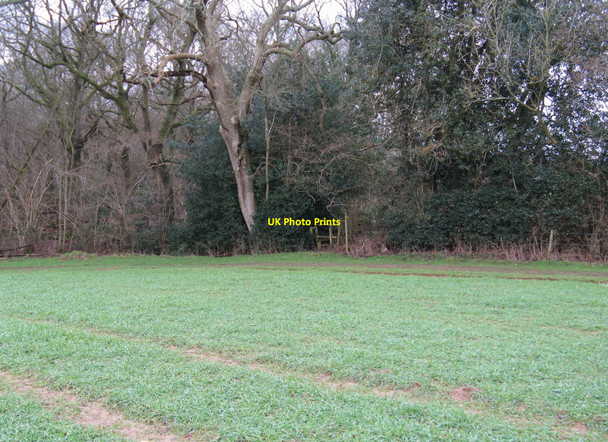 Photo 6"x4" Stile on the eastern edge of Big Copse Fisherstreet c2010