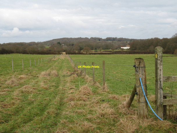 Photo 6"x4" Farm track at Goff's Farm Hillgrove c2010