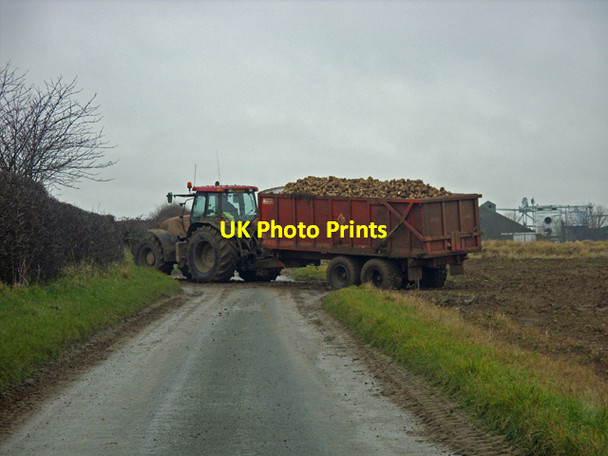 Photo 6"x4" Beet Harvesting on Horkstow Wolds Horkstow Wolds c2010