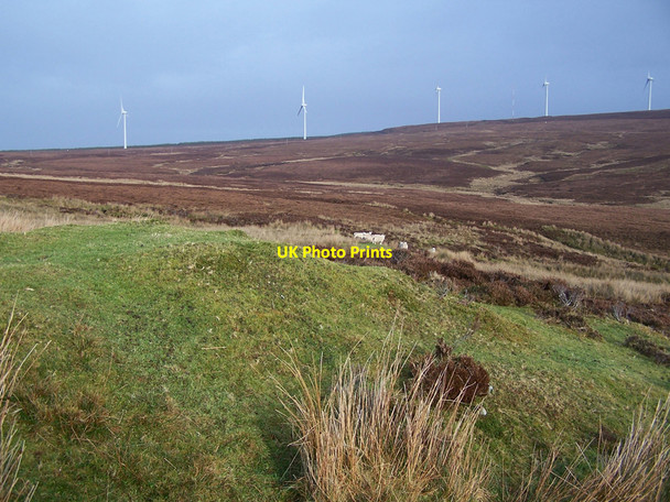 Photo 6"x4" Shieling, sheep and wind farm Glen Heysdal c2010