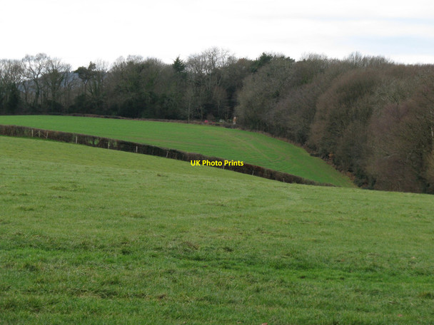 Photo 6"x4" View west across hillside Northchapel c2010