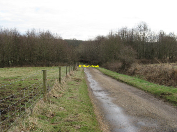 Photo 6"x4" Internal road at Shillinglee Park Fisherstreet c2010
