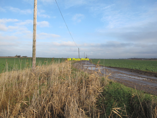 Photo 6"x4" Track across Block Fen Horseway c2010