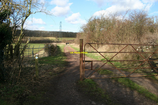 Photo 6"x4" Public footpath to Gotham Hill Gotham\/SK5330 c2010