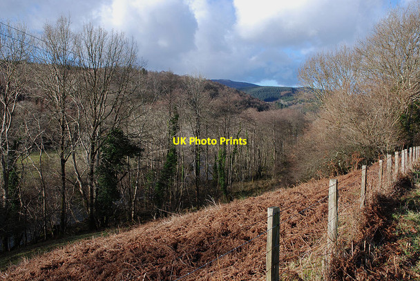 Photo 6"x4" Slopes above the Afon Dulas Pantperthog c2010