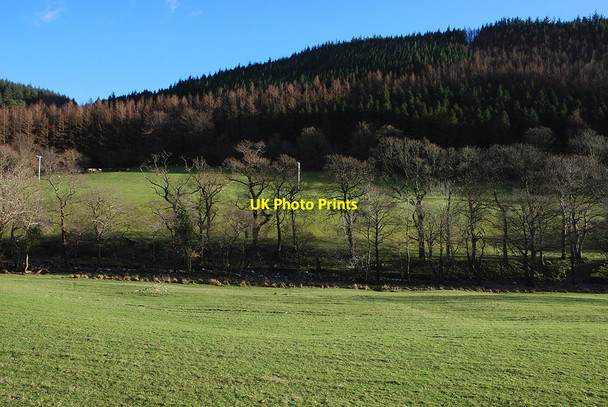 Photo 6"x4" Fields by the Afon Dulas Aberllefenni c2010 P1