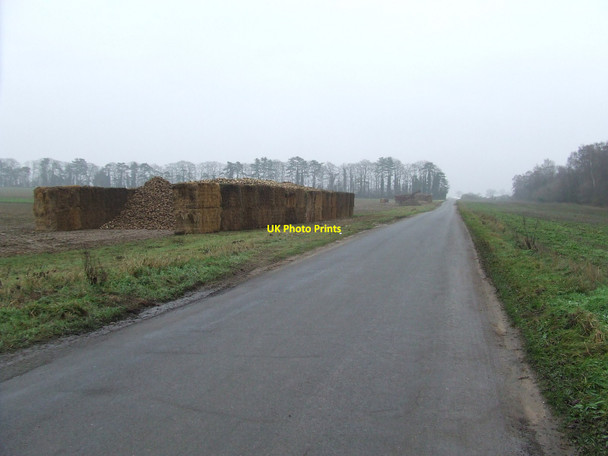 Photo 6"x4" Country Road Middle Harling c2010