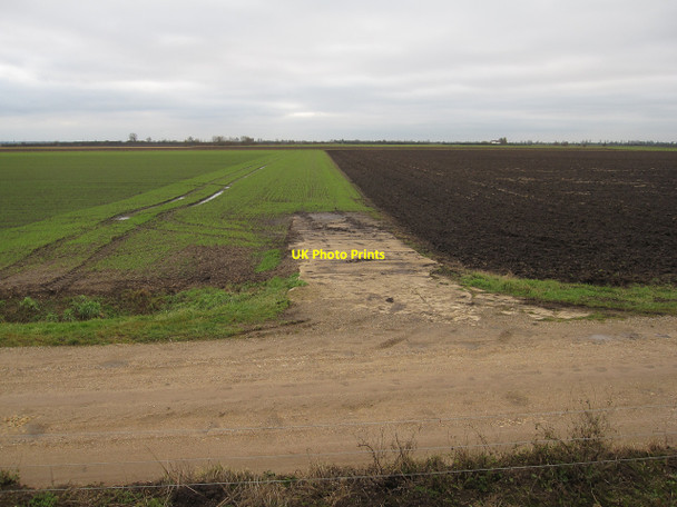 Photo 6"x4" Langwood Fen Horseway c2010
