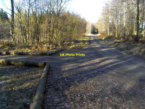 Photo 6"x4" Private Road and Logs Balloch\/NS3982 c2010
