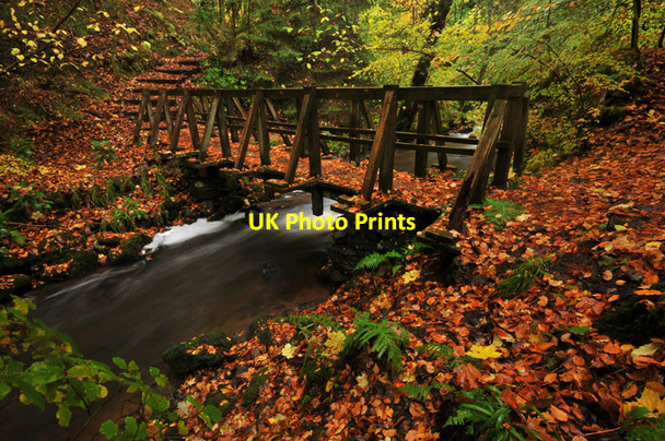 Photo 6"x4" Footbridge in Fairy Glen Fortrose c2009