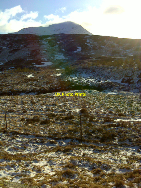 Photo 6"x4" Plantation of young trees Allt Essan c2010