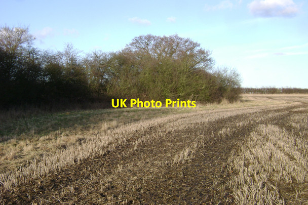 Photo 6"x4" Parish boundary hedge Cubbington c2010