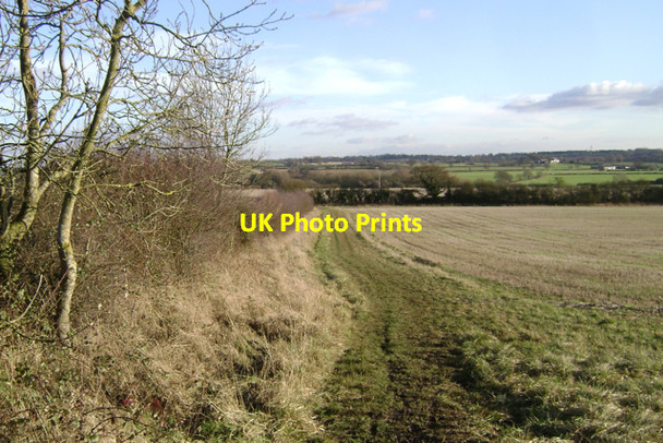 Photo 6"x4" Parish boundary hedge turns a corner Cubbington c2010