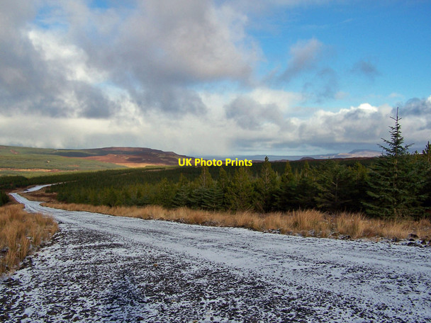 Photo 6"x4" Greshonish forest from the wind farm track Blackhill\/NG3450 c2010