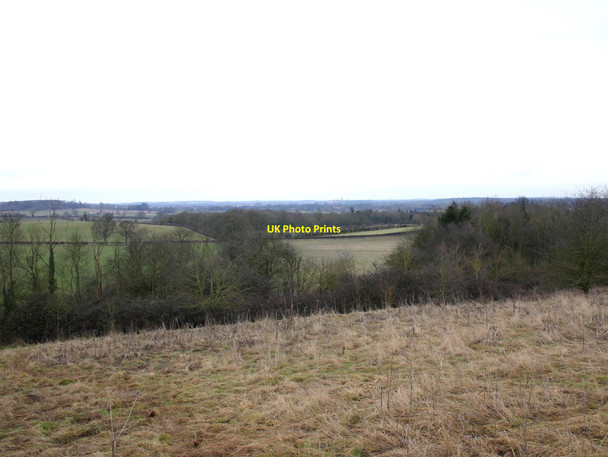 Photo 6"x4" Hampton Wood from Copdock Hill Wasperton c2010