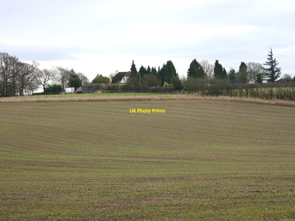 Photo 6"x4" The Thatched House Wasperton c2010