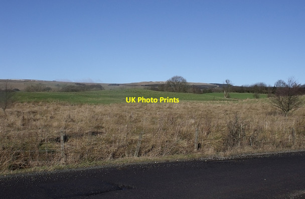 Photo 6"x4" Rough Grazing Banton\/NS7579 c2010