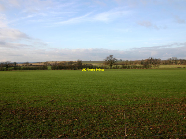 Photo 6"x4" Fields Northwest of Moreton Wood Moreton Paddox c2010