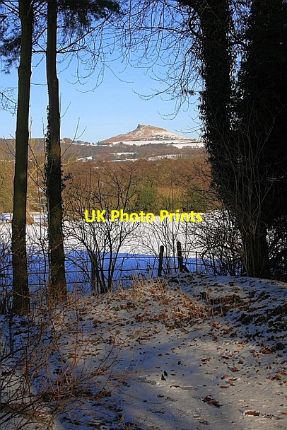 Photo 6"x4" Fields at Easby Easby\/NZ5708 c2010