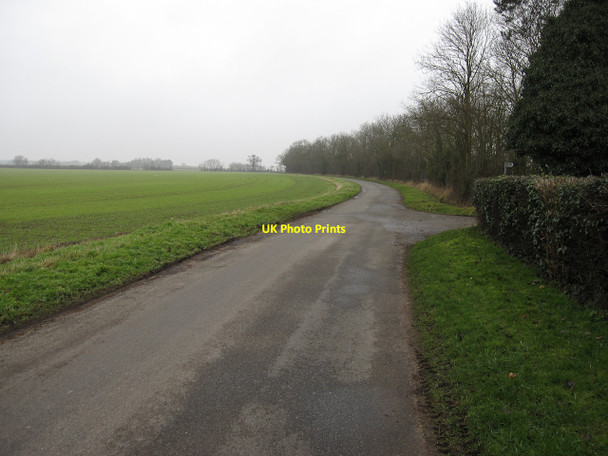 Photo 6"x4" Road past Underwood Hall Dullingham c2010