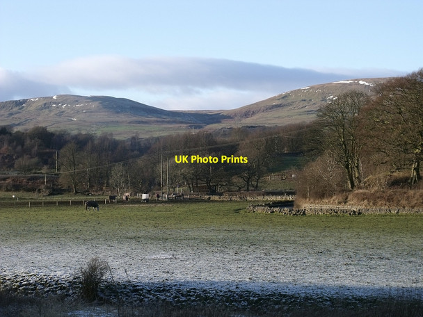 Photo 6"x4" Horses grazing on the floodplain Kilsyth c2010
