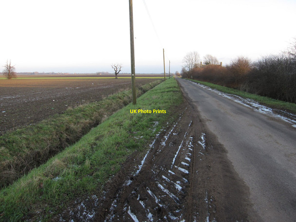 Photo 6"x4" Langwood Fen Drove Horseway c2010