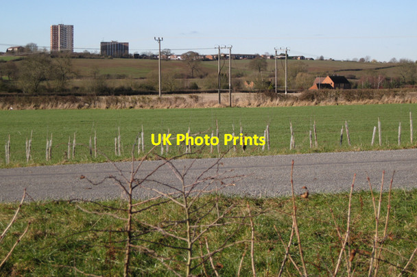 Photo 6"x4" New hedges by the drive to Offchurch Bury Campion Hills c2010