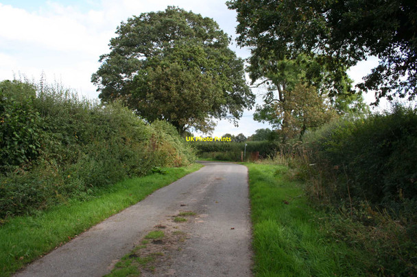 Photo 6"x4" Yew Tree Lane Checkley Green c2009