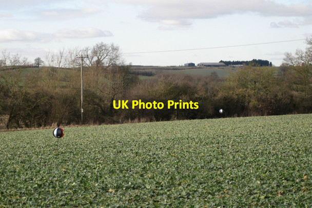 Photo 6"x4" Bird-scarers, Manor Farm Offchurch c2010