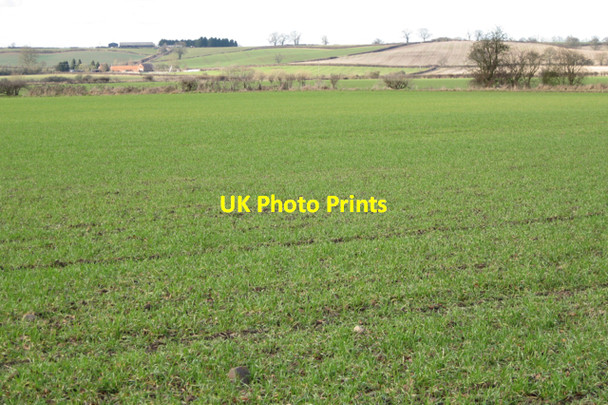 Photo 6"x4" Grassland west of Fields Farm Offchurch c2010