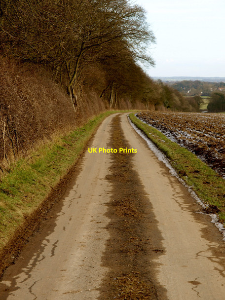 Photo 6"x4" The road to Bishop Burton Bishop Burton c2010