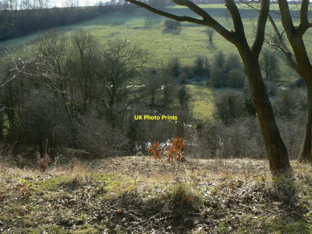 Photo 6"x4" Down the embankment Rowthorne c2010