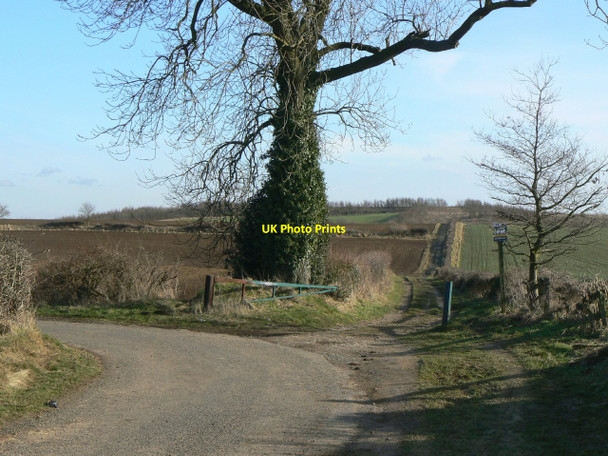 Photo 6"x4" Track off Dale Lane New Houghton\/SK4965 c2010