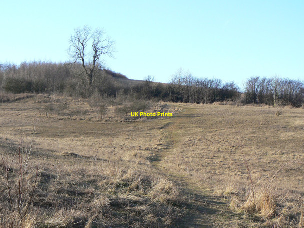 Photo 6"x4" Pleasley Country Park New Houghton\/SK4965 c2010